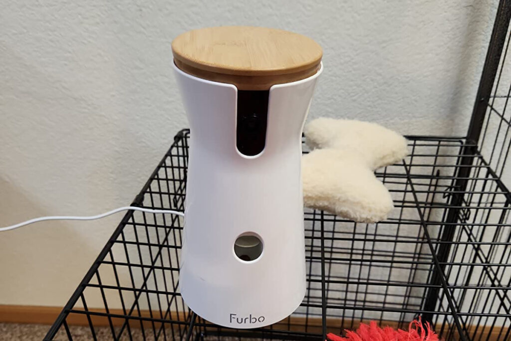 Furbo 360 for cat