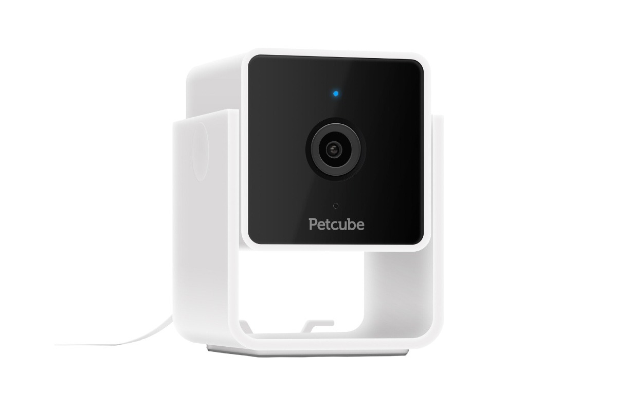 Petcube Cam Review